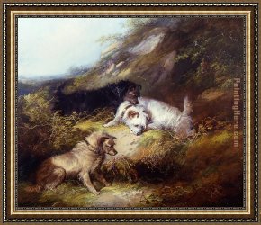 Terriers Framed Paintings - Terriers Rabbiting by George Armfield