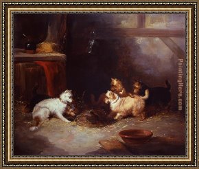 Terriers Framed Paintings - Terriers Ratting by George Armfield