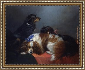 The King And The Beggar-maid Framed Paintings - Two King Charles Spaniels and a Terrier by George Armfield