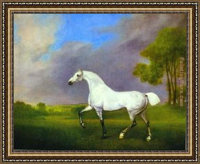 Group of Horses Framed Paintings - A Grey Horse by George Stubbs