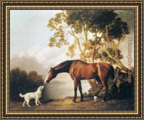 Madonna with St George Framed Paintings - Bay Horse and White Dog by George Stubbs
