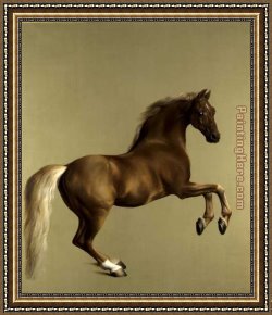 Madonna with St George Framed Paintings - Whistlejacket by George Stubbs