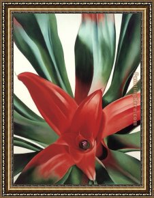Plantes Framed Paintings - Leaves of a Plant by Georgia O'Keeffe