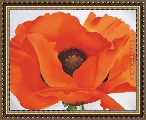 The Era of The Red Guards Framed Paintings - Red Poppy by Georgia O'Keeffe