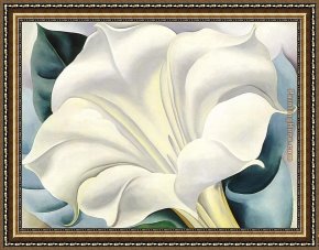 The White Rose Framed Paintings - White Flower by Georgia O'Keeffe