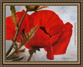 Jaune Poppy Framed Paintings - The Red Poppy by Heinz Scholnhammer