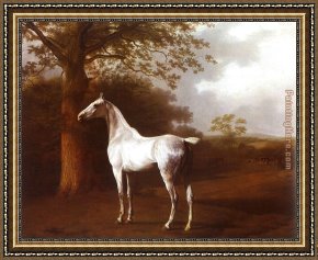 Cattle in a Pasture Framed Paintings - White Horse in Pasture by Jacques Laurent Agasse