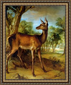 Jean-baptiste Oudry Framed Paintings - The Watchful Doe by Jean-Baptiste Oudry