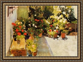 Bastida Framed Paintings - A Rooftop with Flowers by Joaquin Sorolla y Bastida