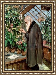 Robert Framed Paintings - Charles Robert Darwin by John Collier