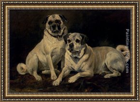A Spaniel And a Pug Framed Paintings - Pugs by John Emms