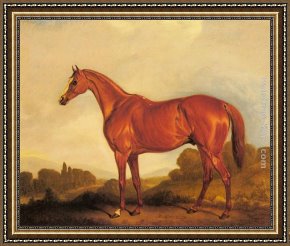The Stirrup Cup Framed Paintings - A Portrait of the Racehorse Harkaway, the Winner of the 1838 Goodwood Cup by John Ferneley Snr
