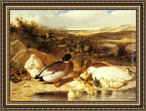 Mallard Duck Framed Paintings - Mallard Ducks and Ducklings on a River Bank by John Frederick Herring Snr