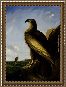 James Framed Paintings - Washington Sea Eagle by John James Audubon