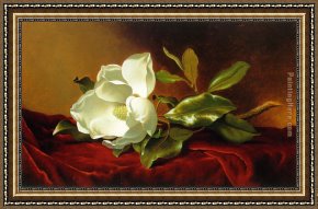 The Era of The Red Guards Framed Paintings - A Magnolia on Red Velvet by Martin Johnson Heade