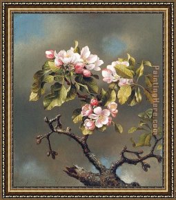 Those Blossoms You Gave So Freely 1 Framed Paintings - Branch of Apple Blossoms against a Cloudy Sky by Martin Johnson Heade
