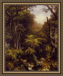 Martin Johnson Heade Framed Paintings - Brazilian Forest by Martin Johnson Heade