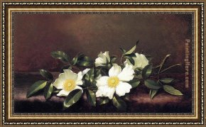 Cherokee Roses on a Light Gray Cloth Framed Paintings - Cherokee Roses on a Purple Velvet Cloth by Martin Johnson Heade