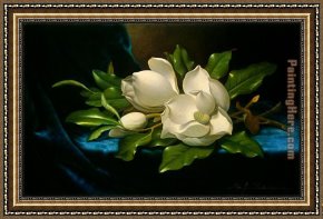 The Blue Window Framed Paintings - Giant Magnolias on a Blue Velvet Cloth by Martin Johnson Heade