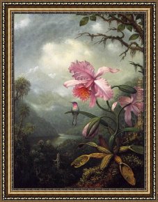 Plantes Framed Paintings - Hummingbird Perched on an Orchid Plant by Martin Johnson Heade