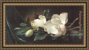 Those Blossoms You Gave So Freely 1 Framed Paintings - Magnolia Blossoms on Blue Velvet by Martin Johnson Heade