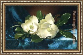 The Blue Window Framed Paintings - Magnolias on a Blue Velvet Cloth by Martin Johnson Heade