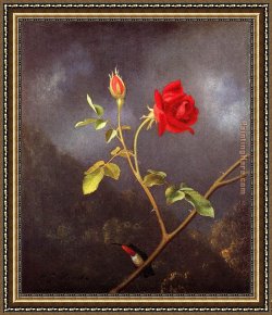 Martin Johnson Heade Framed Paintings - Red Rose with Ruby Throat by Martin Johnson Heade
