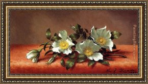 Cherokee Roses on a Light Gray Cloth Framed Paintings - The Cherokee Rose by Martin Johnson Heade