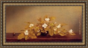 Martin Johnson Heade Framed Paintings - Trailing Arbutis by Martin Johnson Heade