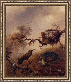 The Bunch of Violets Framed Paintings - White-Vented Violet-Eared by Martin Johnson Heade