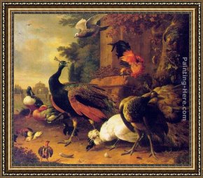 Melchior Broederlam Framed Paintings - Birds in a Park by Melchior de Hondecoeter