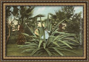 Plantes Framed Paintings - Girl in Century Plant, Maguey, Agave by Norman Parkinson