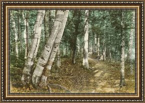 Norman Framed Paintings - Riverside Path, White Mountains, New Hampshire by Norman Parkinson