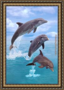 Life Framed Paintings - Dolphin by Sea life