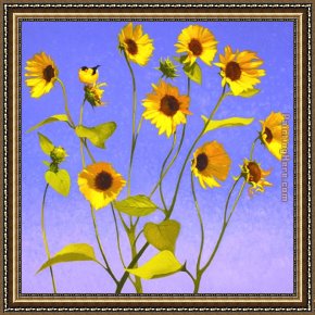 Cowboy Singing Framed Paintings - Sing Singing II by Shirley Novak