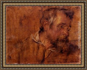Sir Antony Van Dyck Framed Paintings - Profile Study Of A Bearded Old Man by Sir Antony van Dyck