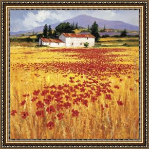 Field I Framed Paintings - Poppies field by Steve Thoms