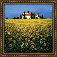 Buy Framed Painting