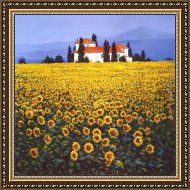 Buy Framed Painting