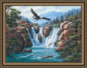 Sung Kim Framed Paintings - Soaring Eagle by Sung Kim