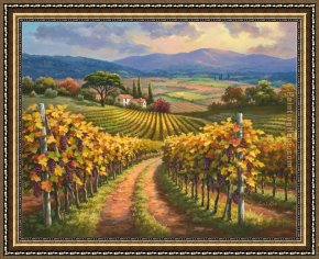 Hills of Tuscany I Framed Paintings - Vineyard Hill I by Sung Kim