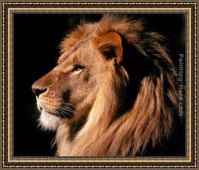 African Framed Paintings - African Lion by Unknown Artist