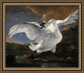 Swan Framed Paintings - Jan Asselijn The Threatened Swan by Unknown Artist