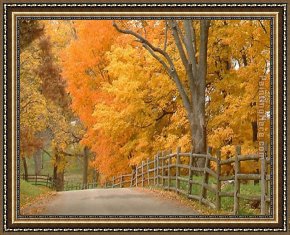 Artist Framed Paintings - RL033 by Unknown Artist