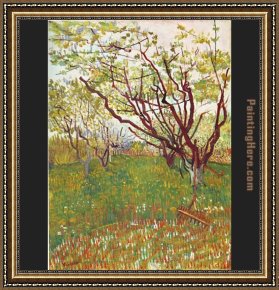 Trees Framed Paintings - Cherry Tree by Vincent van Gogh