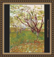 Buy Framed Painting