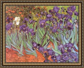 Saint Cosmas And Saint Damian Salvaged Framed Paintings - Irises at Saint Remy by Vincent van Gogh