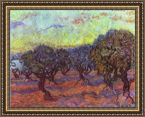 Adrian Van Utrecht Framed Paintings - Olive grove by Vincent van Gogh