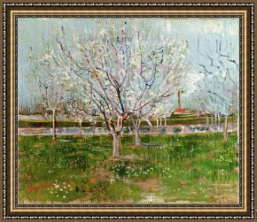 Those Blossoms You Gave So Freely 1 Framed Paintings - Orchard in Blossom by Vincent van Gogh
