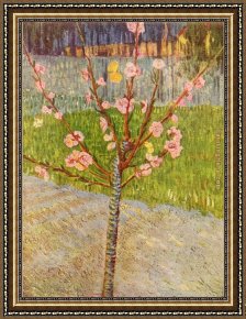Peach Framed Paintings - Peach Tree in Blossom by Vincent van Gogh